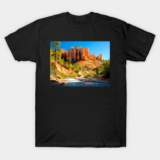 Red Canyon T-Shirt